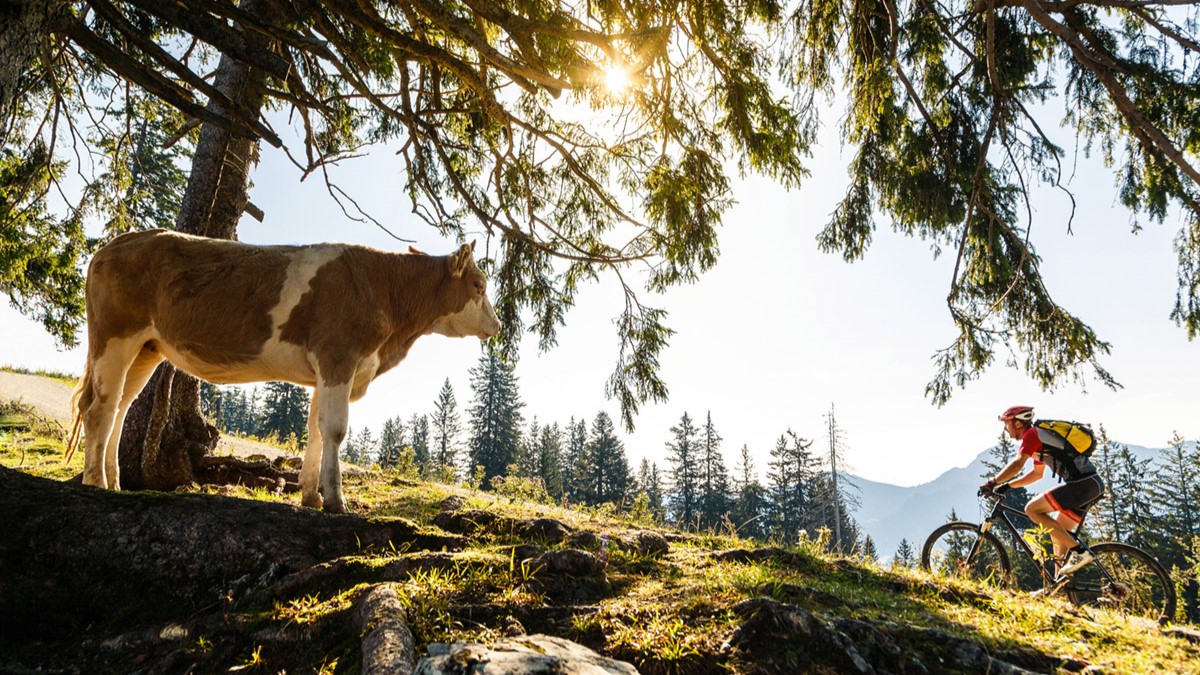 Spring activities in Ruhpolding: walking trails, cycling, mountain biking