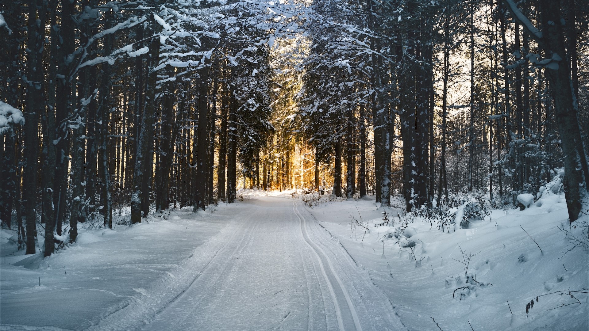 Cross-Country Skiing in Ruhpolding: Experience the Stunning "3-Lakes" Trail Network