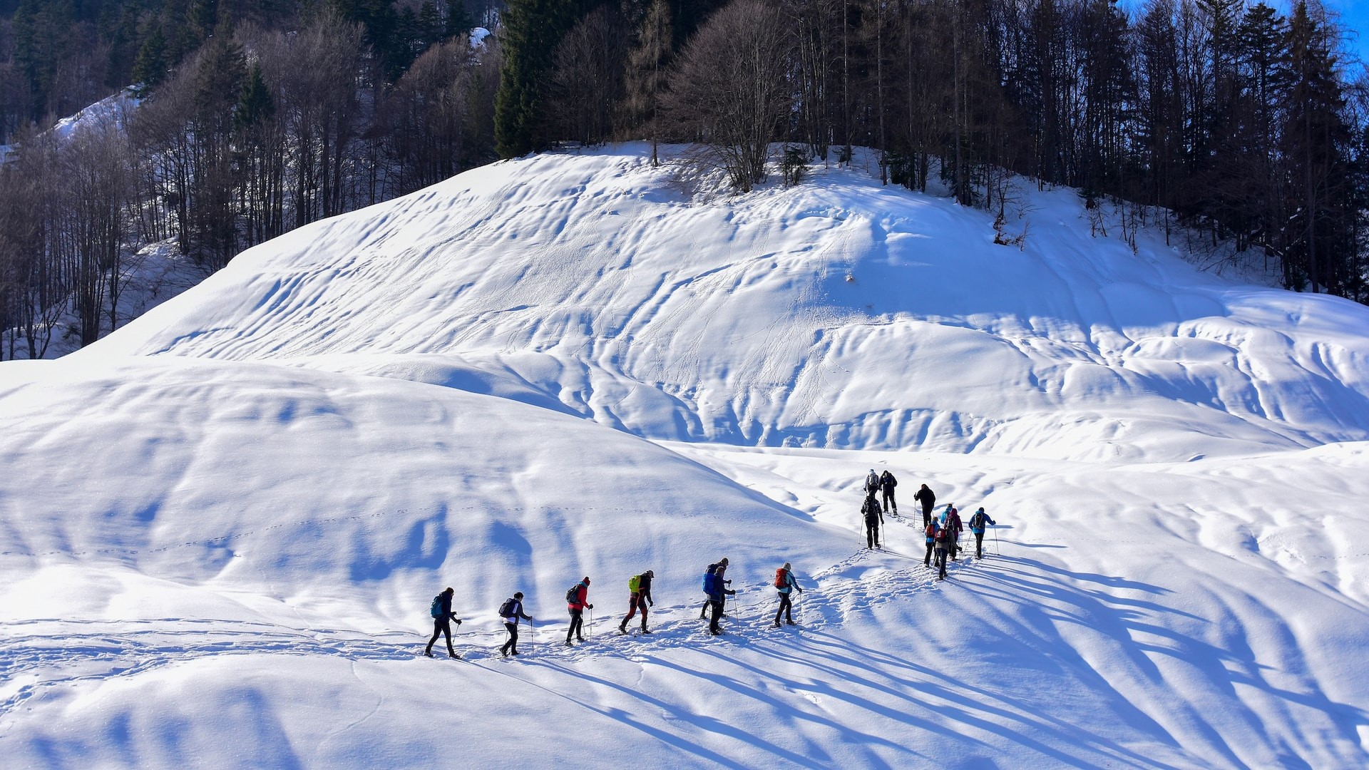 Snowshoe Hiking over Röthelmoos to the Weitsee